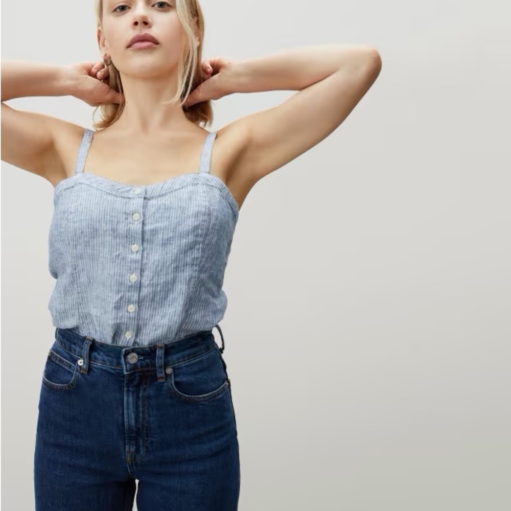 Everlane Picnic Top. Cropped mini stripe chambray, 10